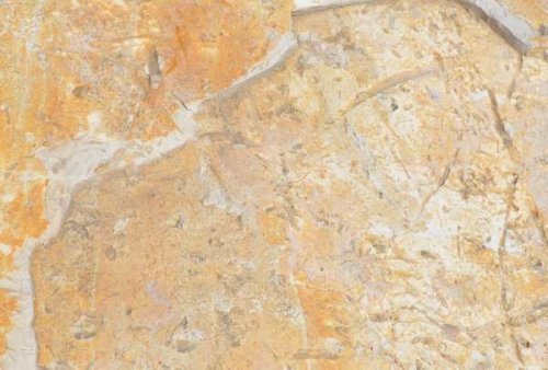 Vápenec a výrobky z vápenca